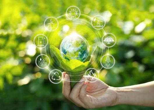 Environmental Services
